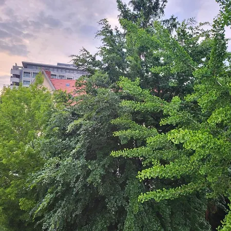 An Der Uniklinik בית אירוח