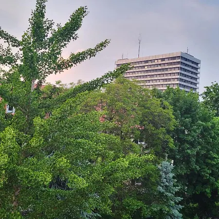 An Der Uniklinik