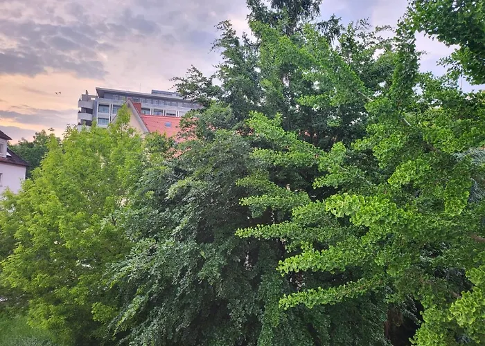 An Der Uniklinik 民宿